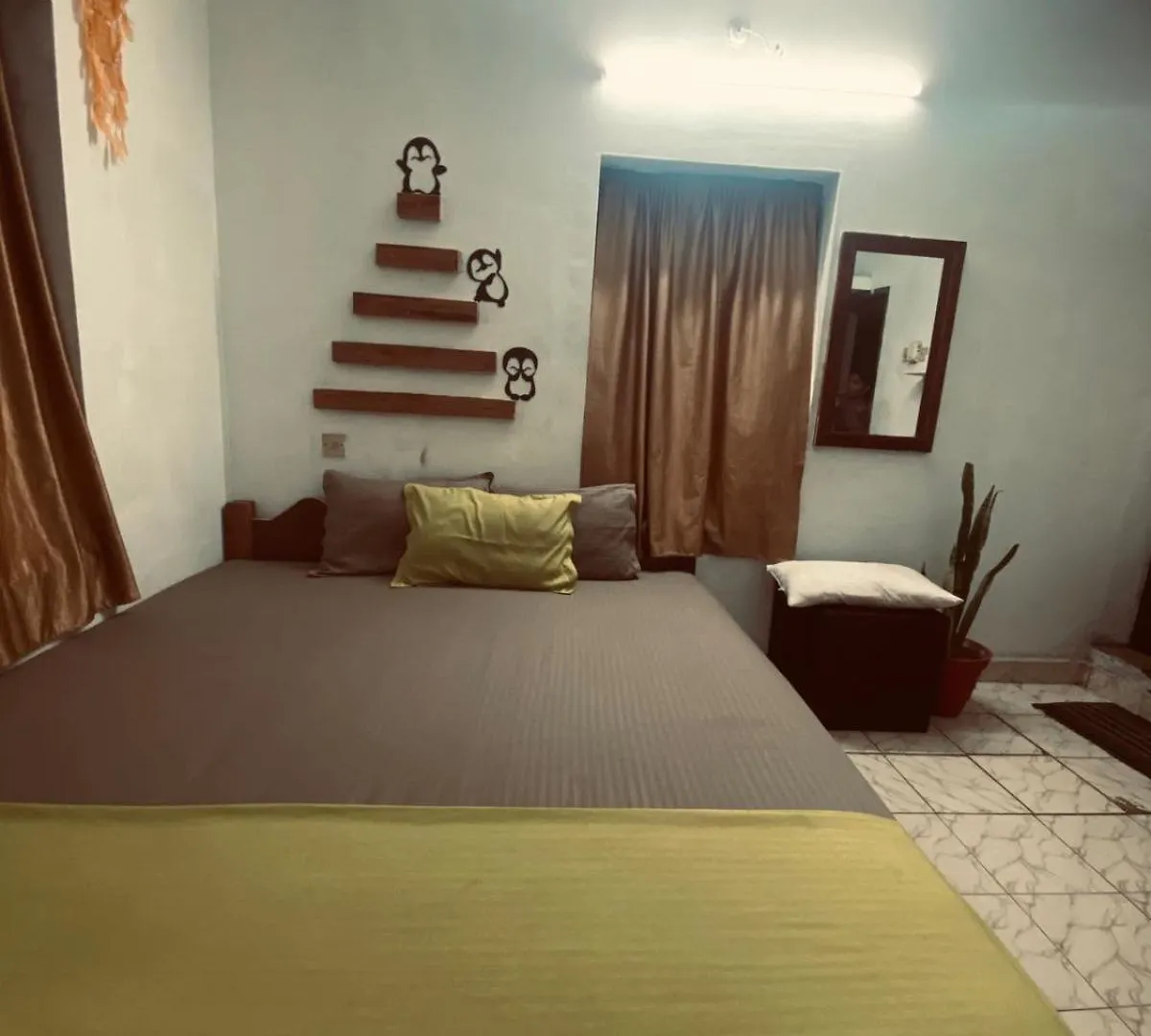 Vibes Of Varkala Homestay India